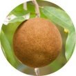 CHAULMOOGRA OIL