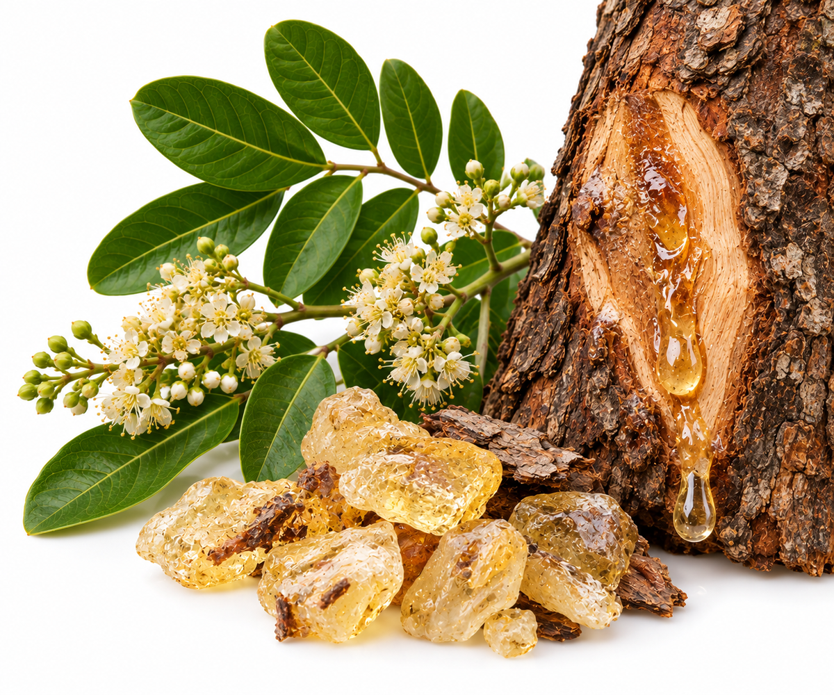 COPAIBA BALSAM ESSENTIAL OIL