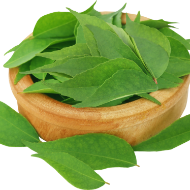 CURRY LEAF ESSENTIAL OIL