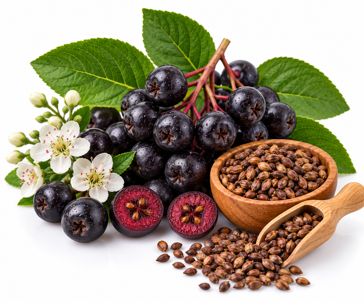 CHOKEBERRY (ARONIA) SEED OIL
