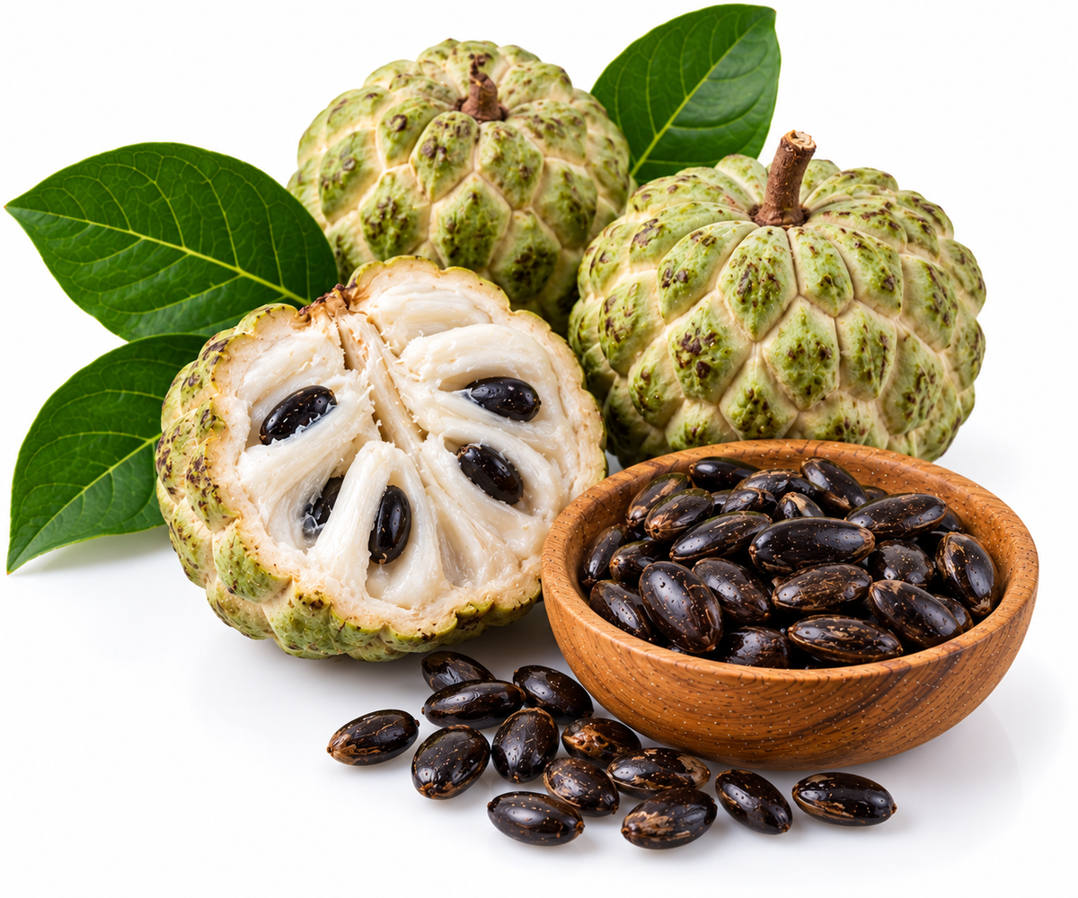 CUSTARD APPLE SEED OIL