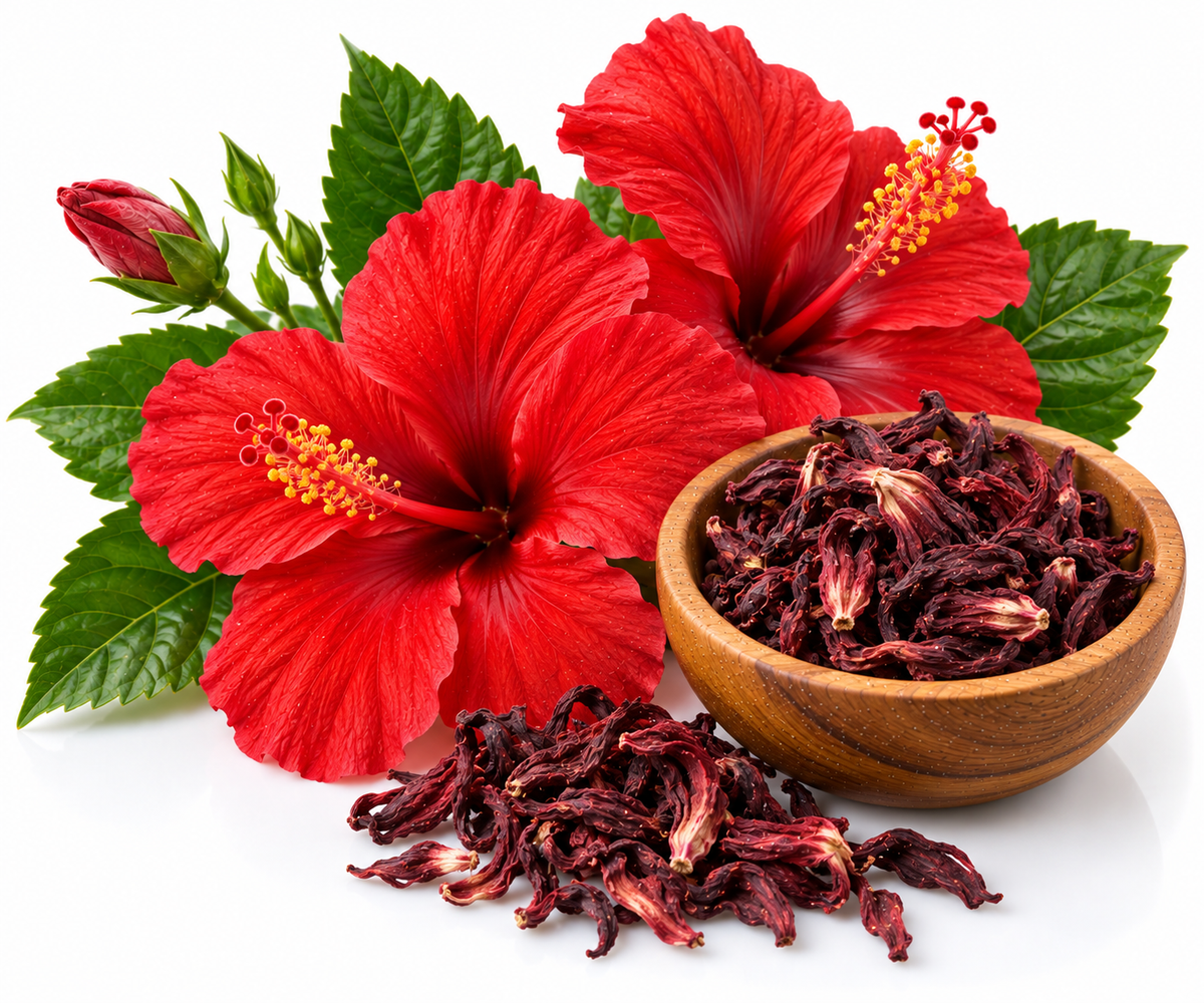 HIBISCUS OIL