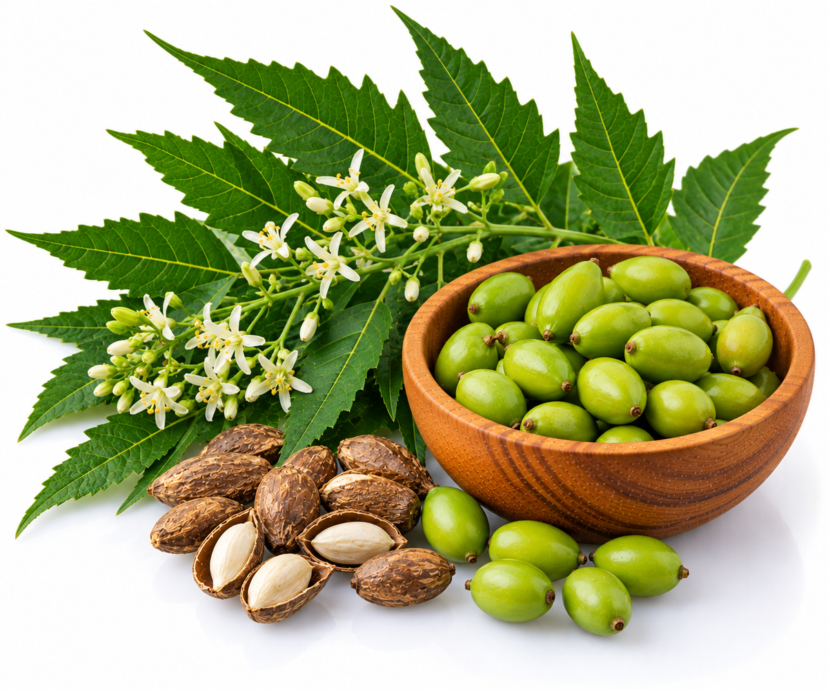 NEEM OIL