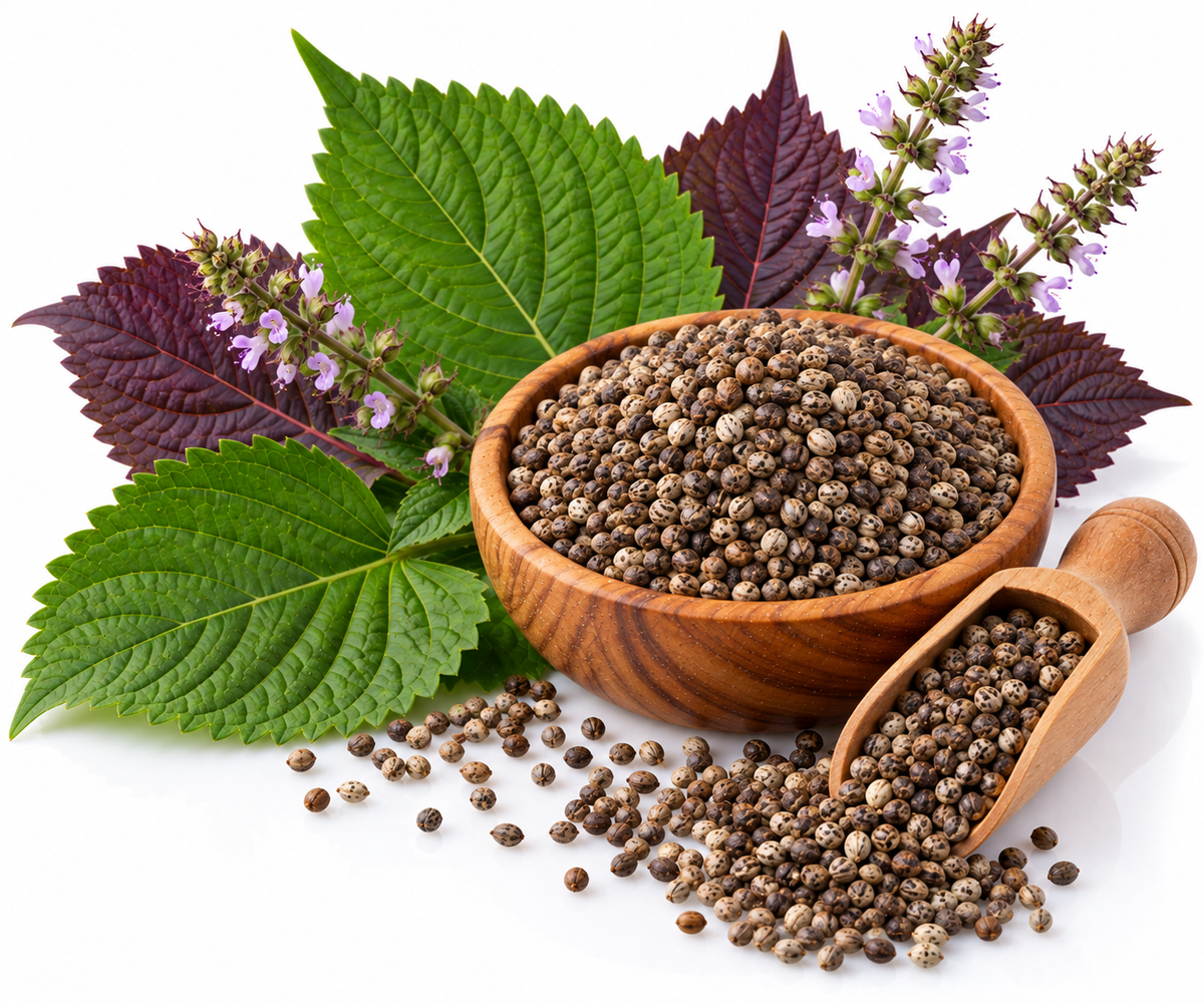 PERILLA SEED OIL
