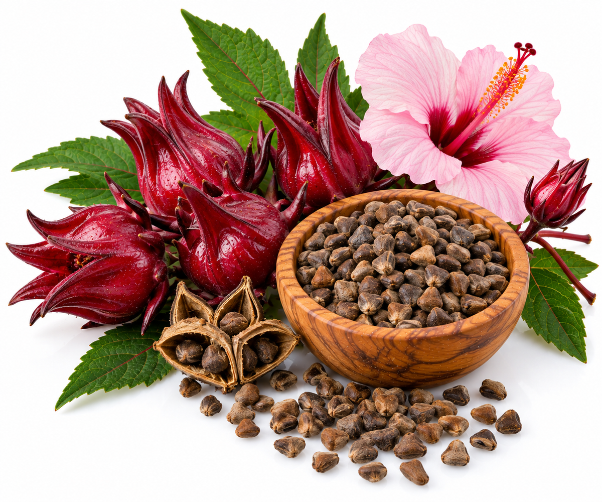 ROSELLE HIBISCUS SEED OIL