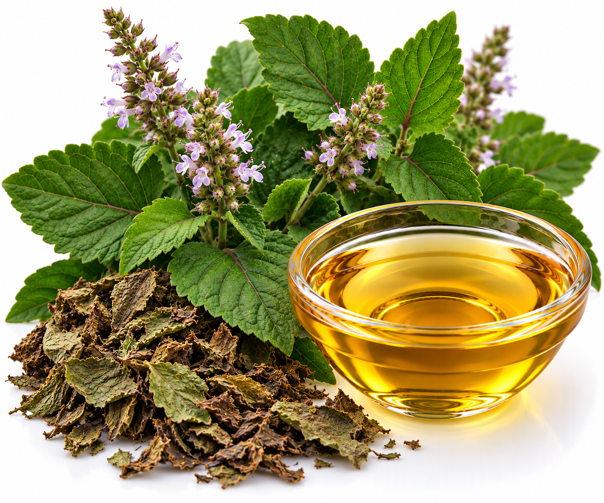 PATCHOULI ESSENTIAL OIL