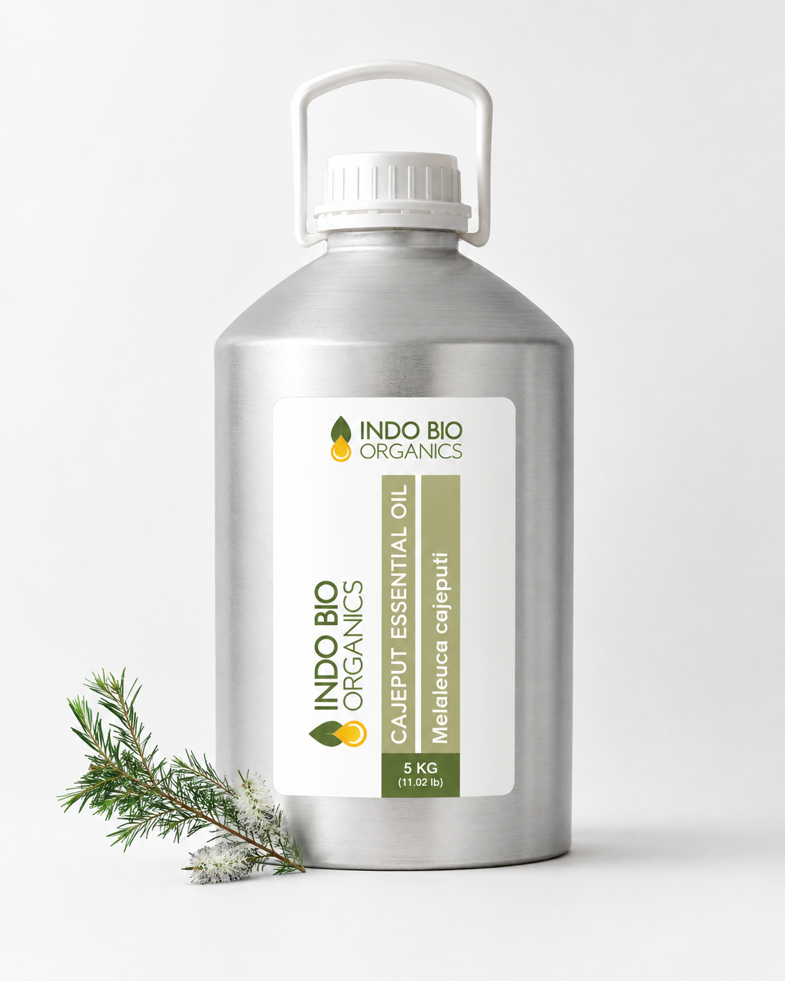 Cajeput Essential Oil