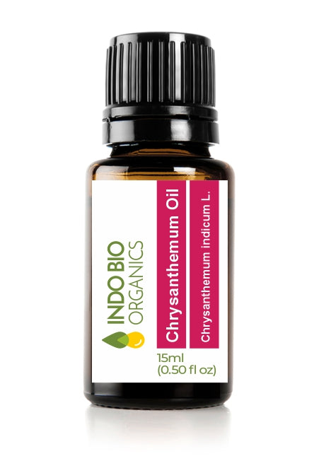 Chrysanthemum Oil