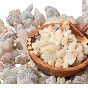 FRANKINCENSE SERRATA ESSENTIAL OIL
