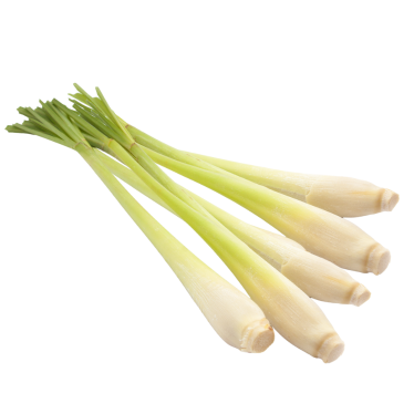 GINGERGRASS ESSENTIAL OIL
