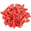 GOJI BERRY SEED OIL