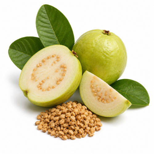 GUAVA SEED OIL