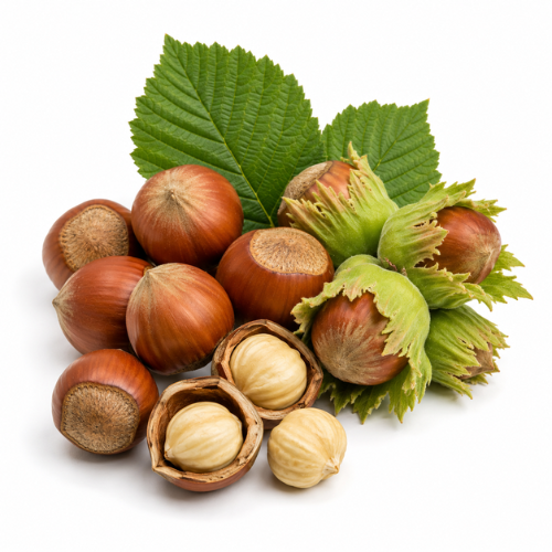 HAZELNUT OIL