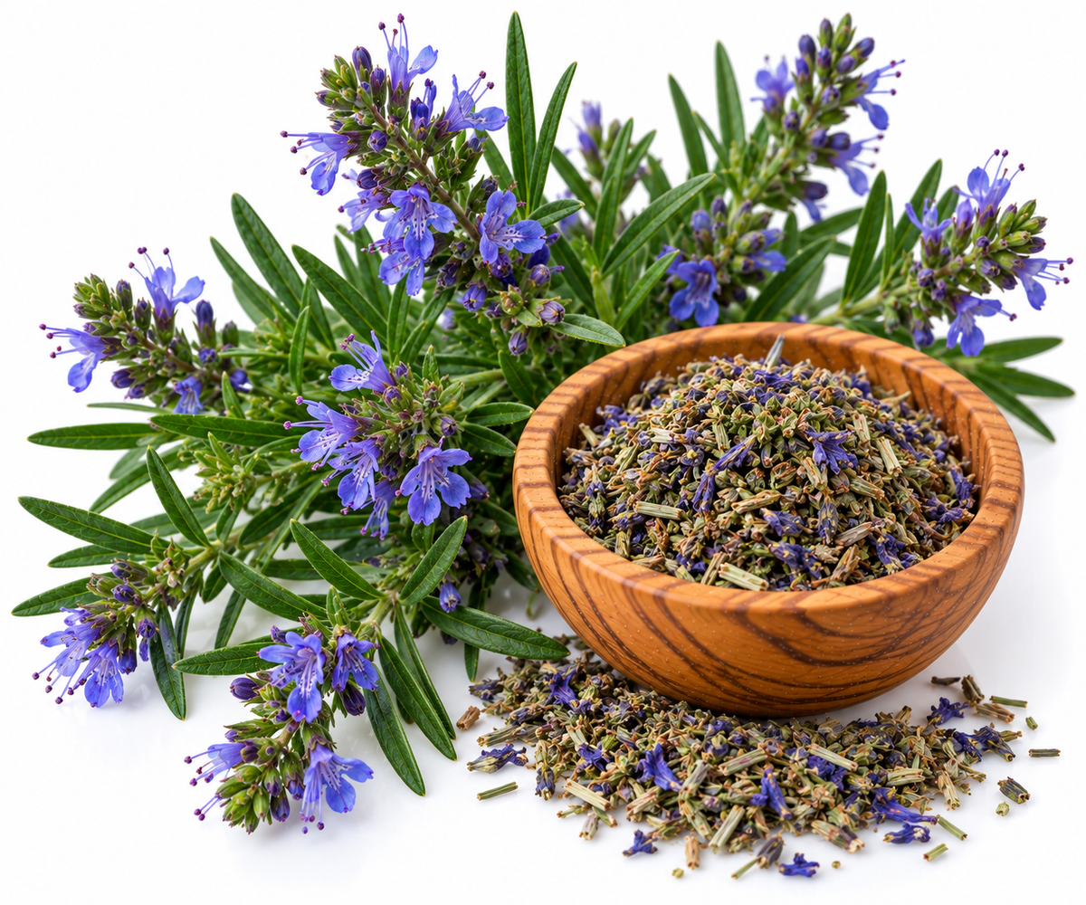 HYSSOP ESSENTIAL OIL