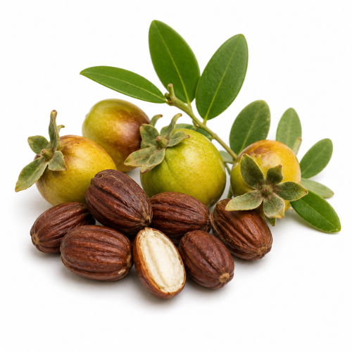 JOJOBA OIL, GOLDEN
