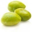 KAKADU PLUM OIL
