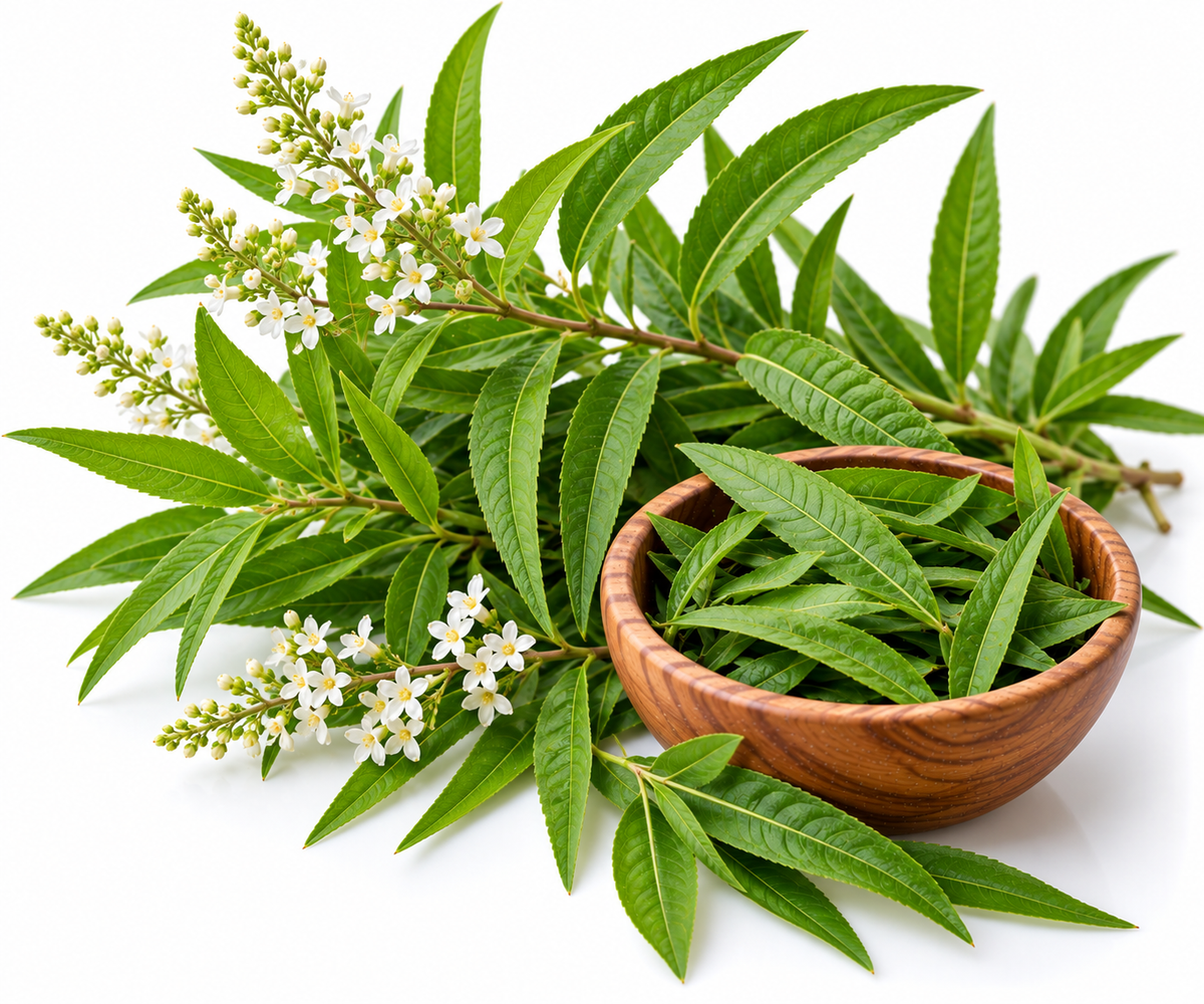 LEMON VERBENA ESSENTIAL OIL( COLDPRESS)