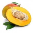 MANGO KERNEL OIL