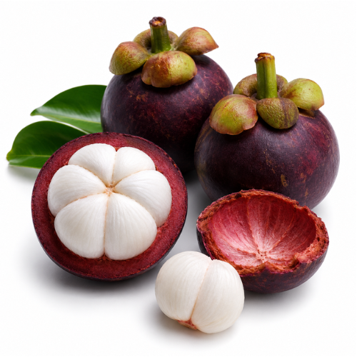 MANGOSTEEN OIL