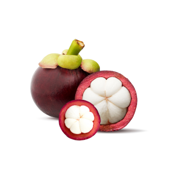 MANGOSTEEN OIL