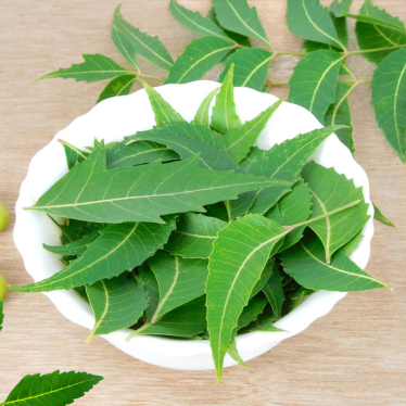 NEEM OIL