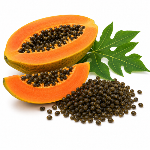 PAPAYA SEED OIL