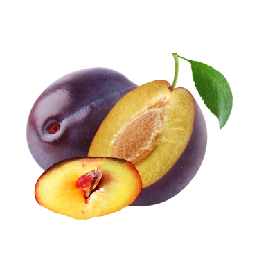 PLUM KERNEL OIL