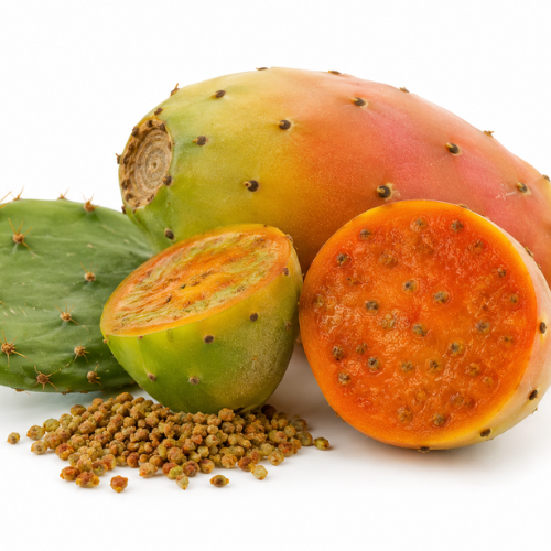 PRICKLY PEAR SEED OIL