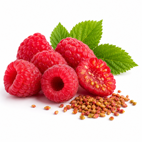 RASPBERRY SEED OIL
