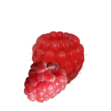RASPBERRY SEED OIL