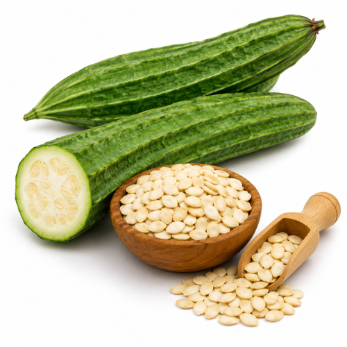 RIDGE GOURD SEED OIL