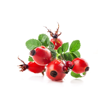 ROSE HIP OIL