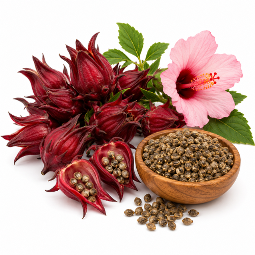 ROSELLE HIBISCUS SEED OIL