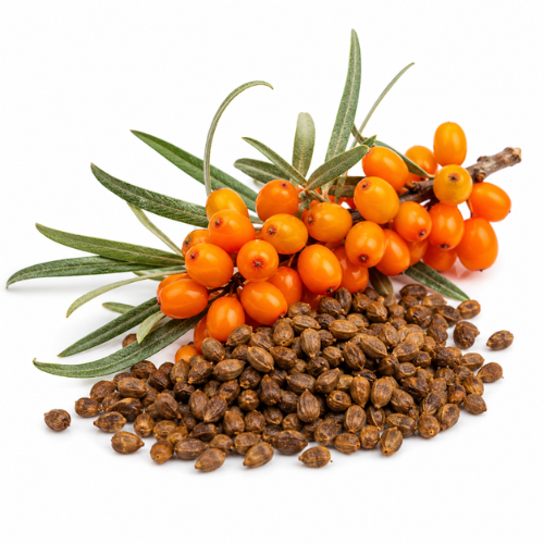 SEA BUCKTHORN SEED OIL