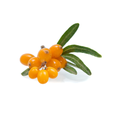 SEA BUCKTHORN SEED OIL