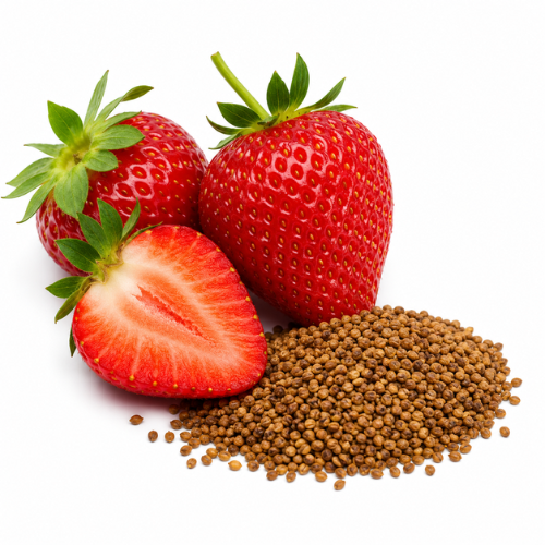 STRAWBERRY SEED OIL