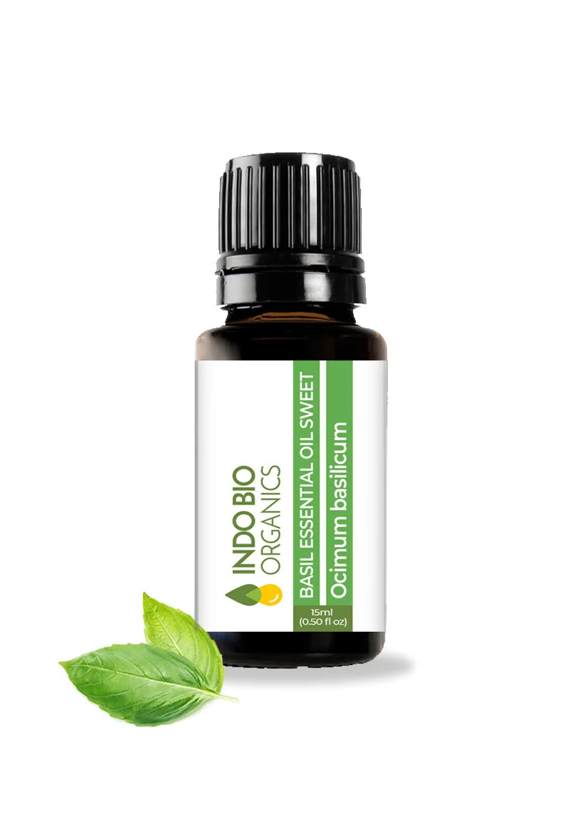 Basil Essential Oil Sweet