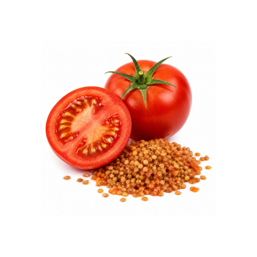 TOMATO SEED OIL