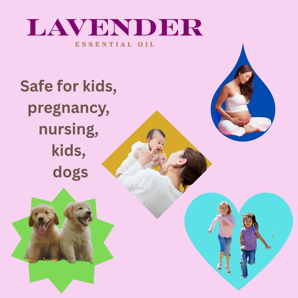 Lavender Oil