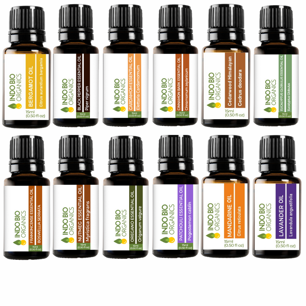 FALL ALL THE WAY (PREMIUM SET OF 12x15ML)