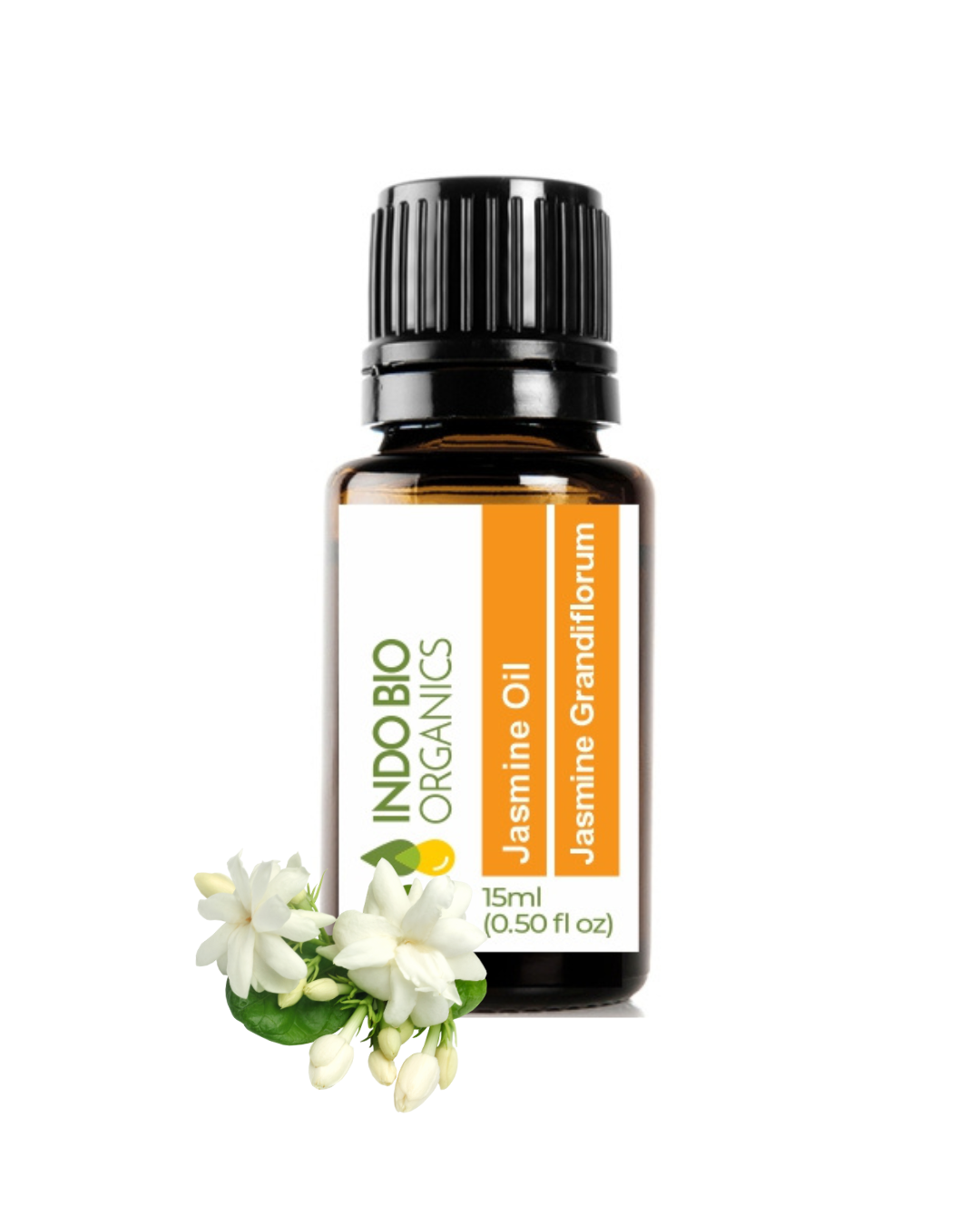 Jasmine Oil (Grandiflorum)