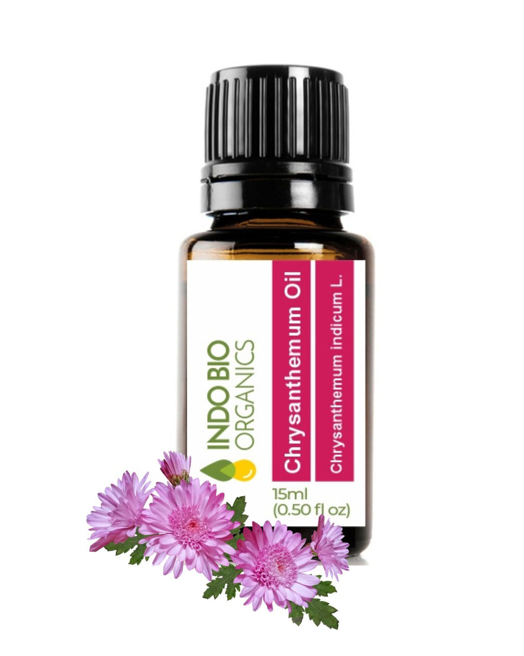 Chrysanthemum Oil