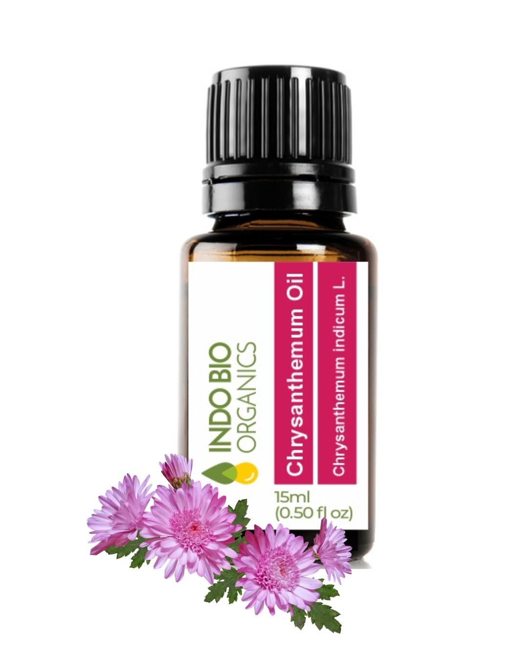 Chrysanthemum Oil