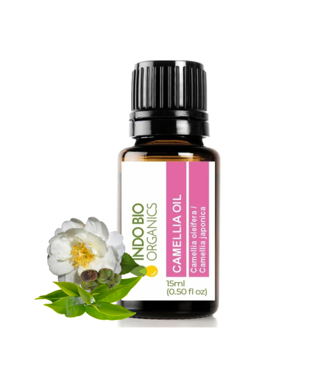 Camellia Oil