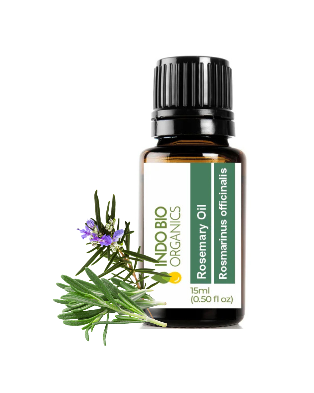 Rosemary Oil