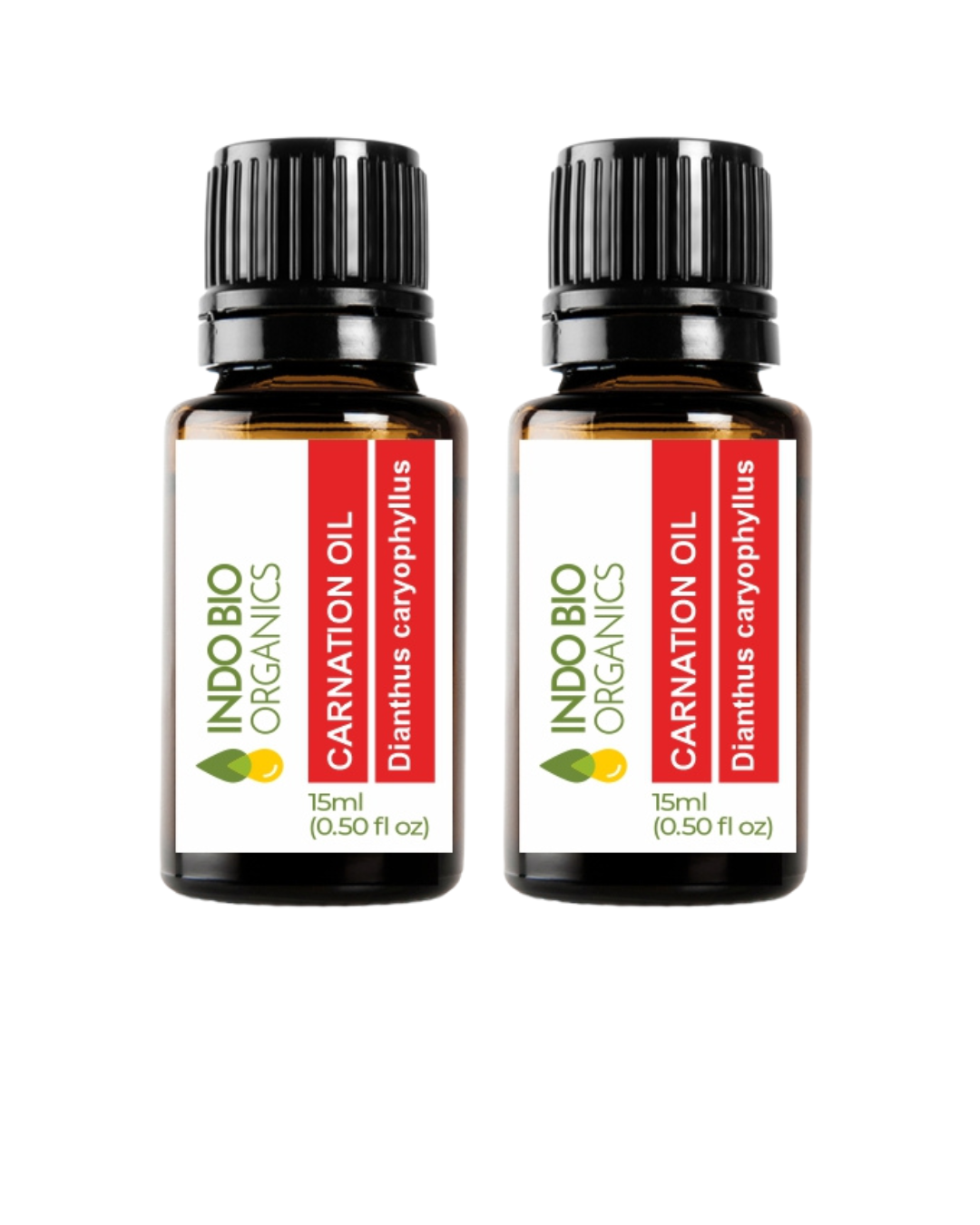 Carnation Oil