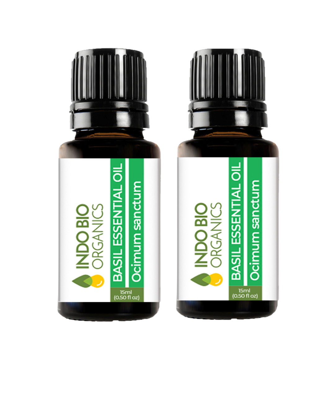 Basil  Oil Holy