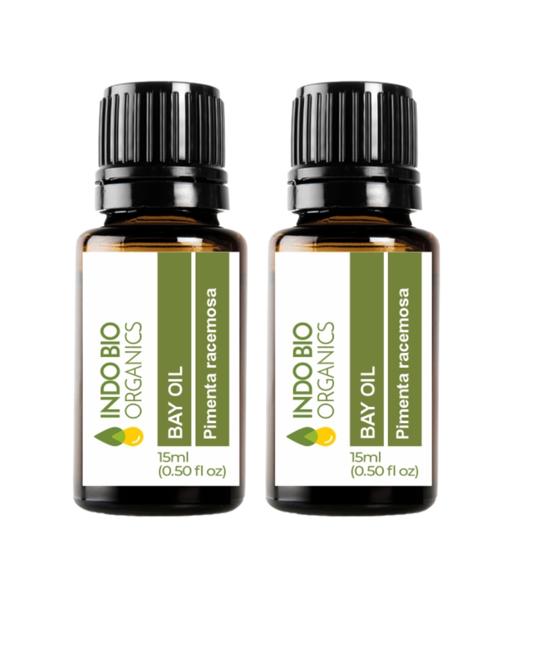 Bay Oil