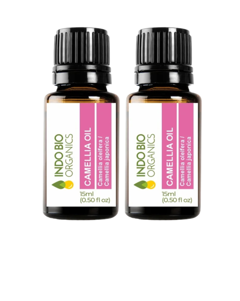 Camellia Oil