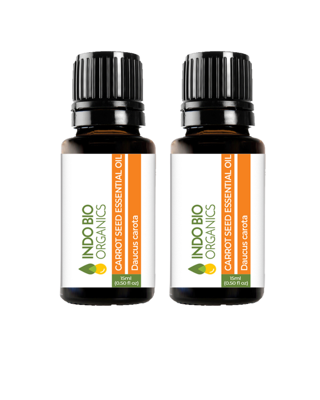Carrot Seed  Oil